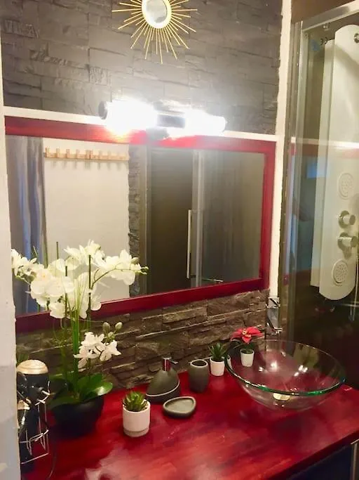 Arc En Ciel Apartment Toulouse